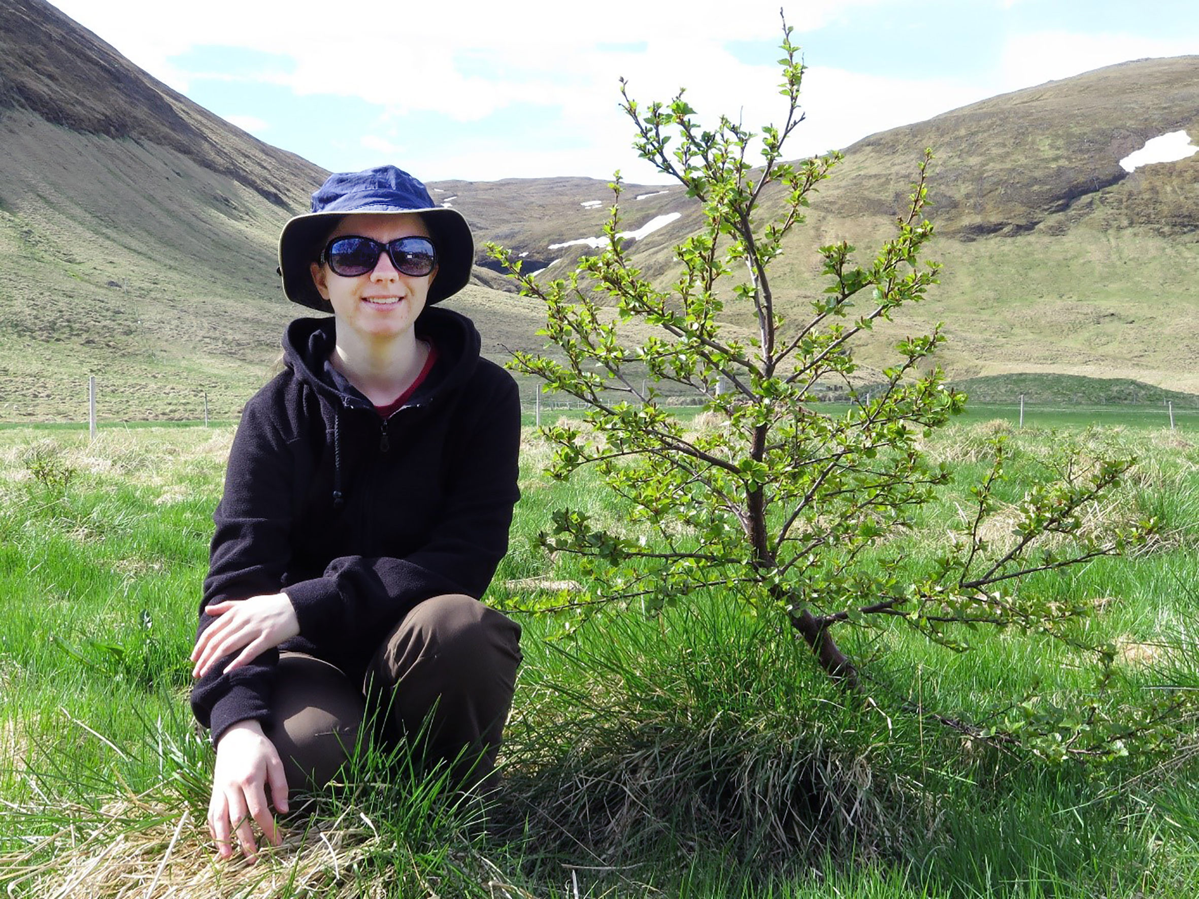 Skógrækt er framtíðin