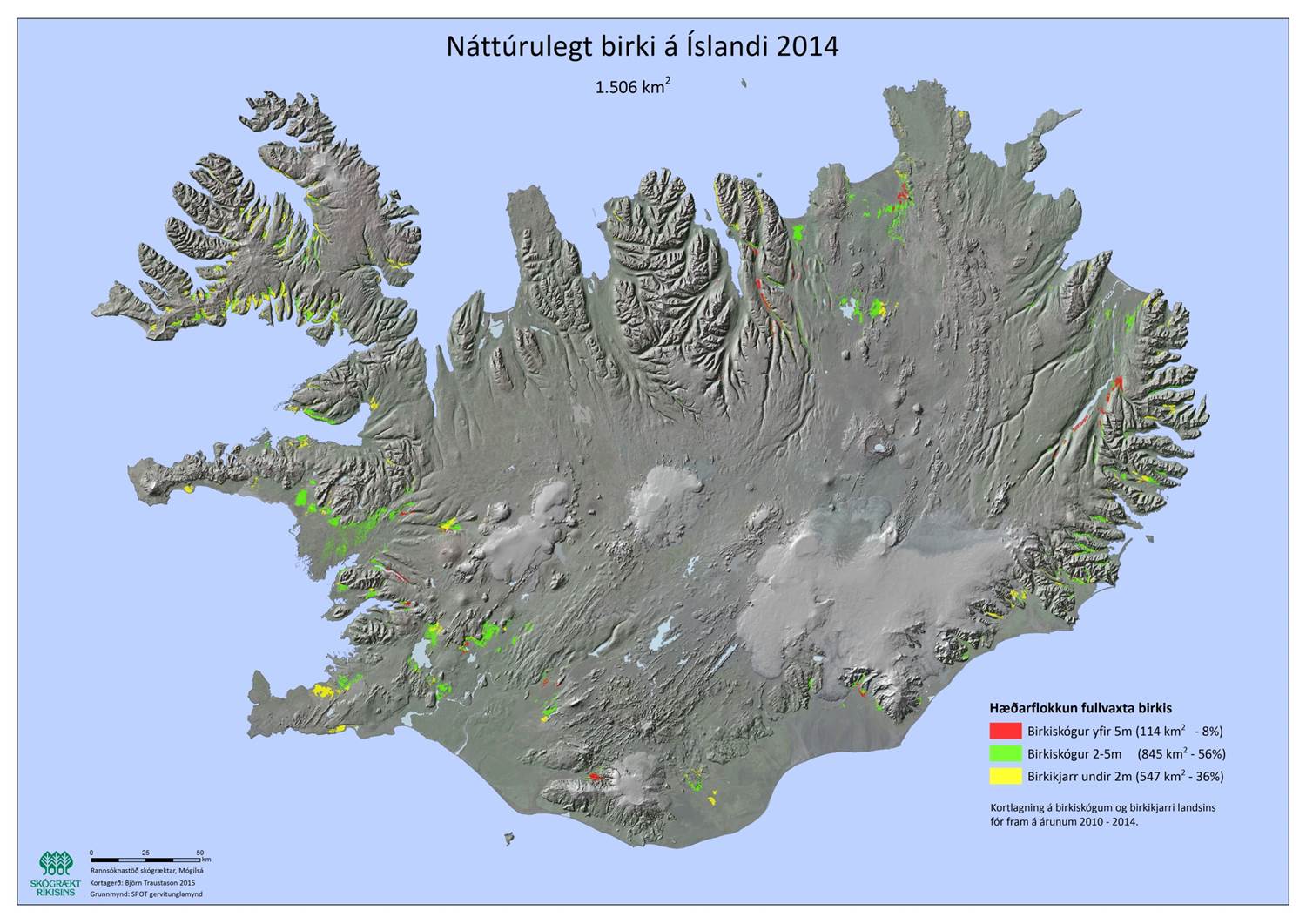 Birki þekur 1,5% landsins