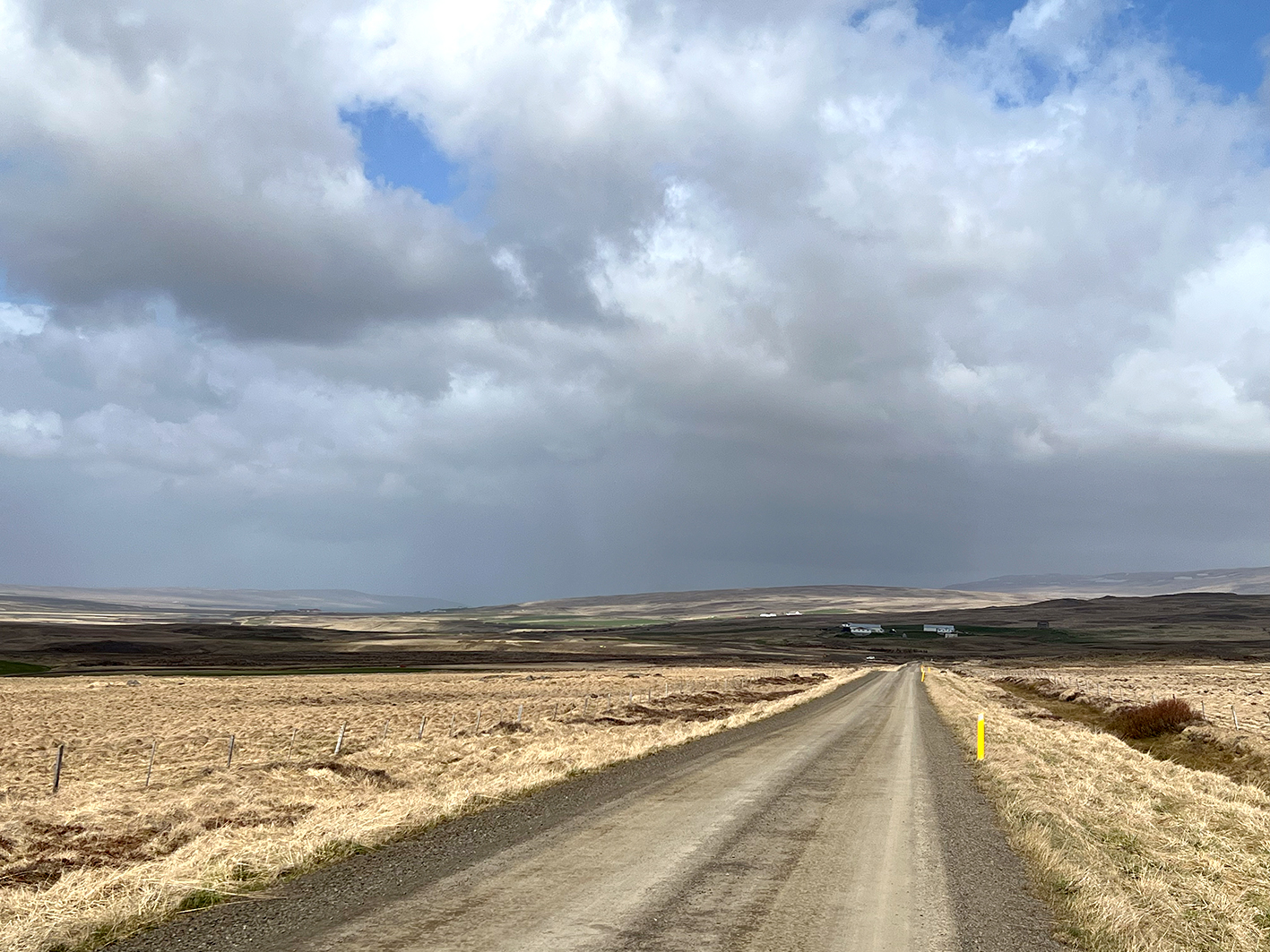 Miðfjarðarbændur neita enn að afhenda fé