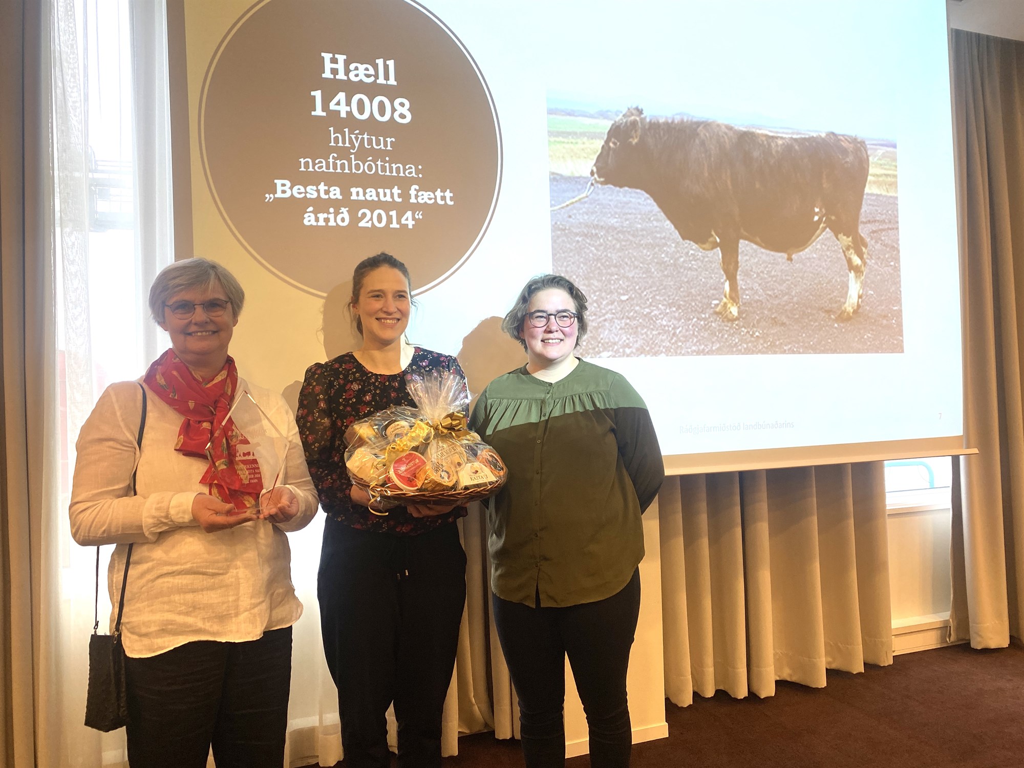 Greiðslumark og kynbætur ræddar meðal nautgripabænda