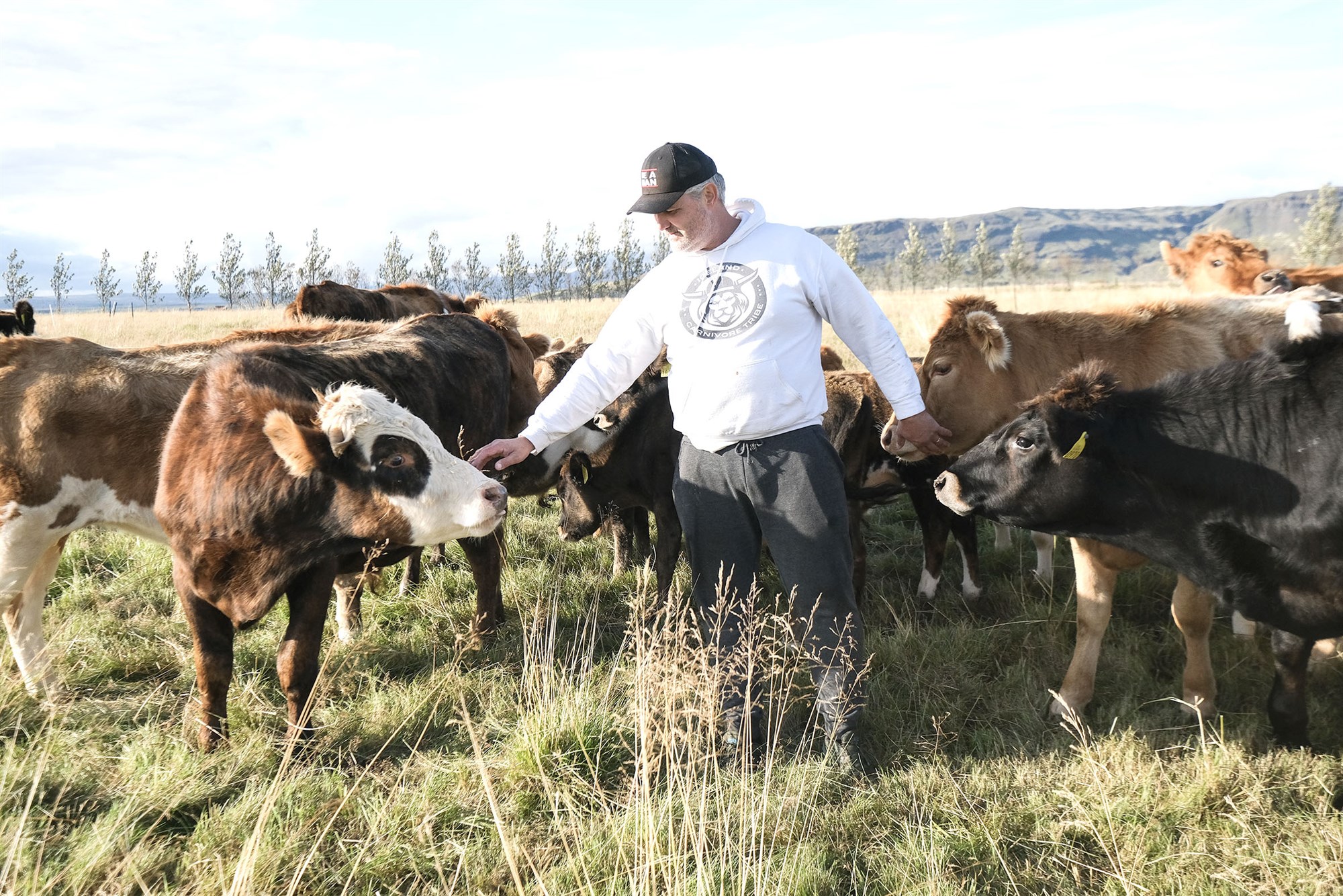 Nautakjötsæta gerist nautgripabóndi