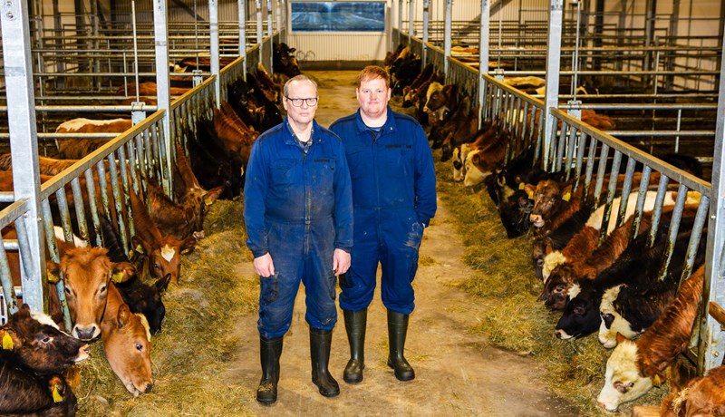 Byggðu nautahús til að rýmka um kýrnar