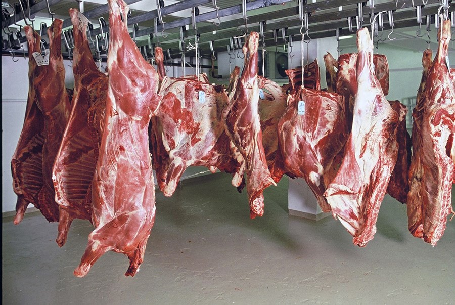 Með breytingum á búvörulögum hefur kjötafurðastöðvum á Íslandi verið veitt undanþága frá samkeppnislögum um að hafa með sér samstarf og til að sameinast.