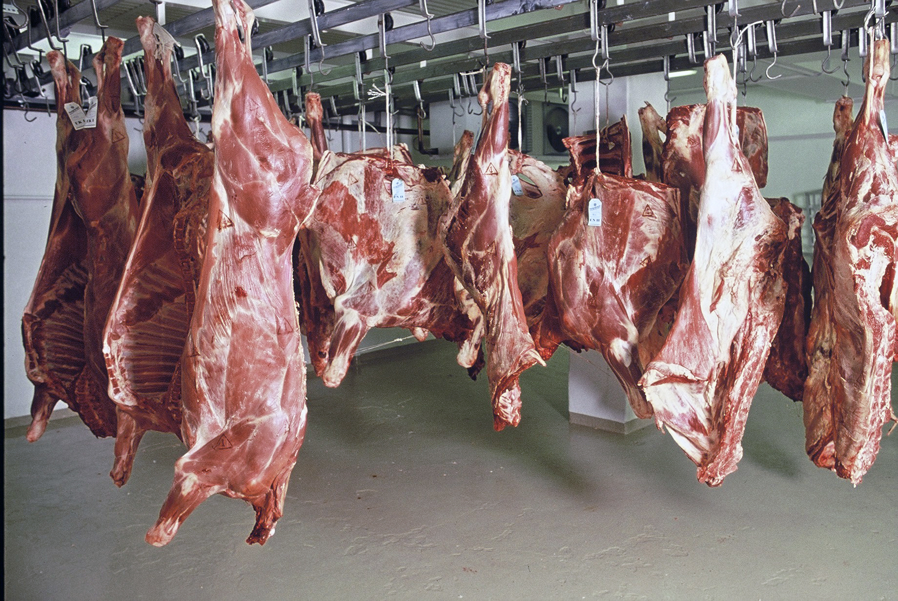 Hagræðingin heldur áfram