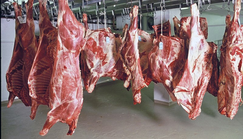 Niðurstöður skýrsluhaldsársins í nautakjötsframleiðslunni 2018