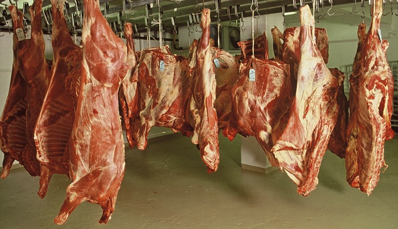 Niðurstöður skýrsluhaldsársins 2021 í nautakjötsframleiðslunni