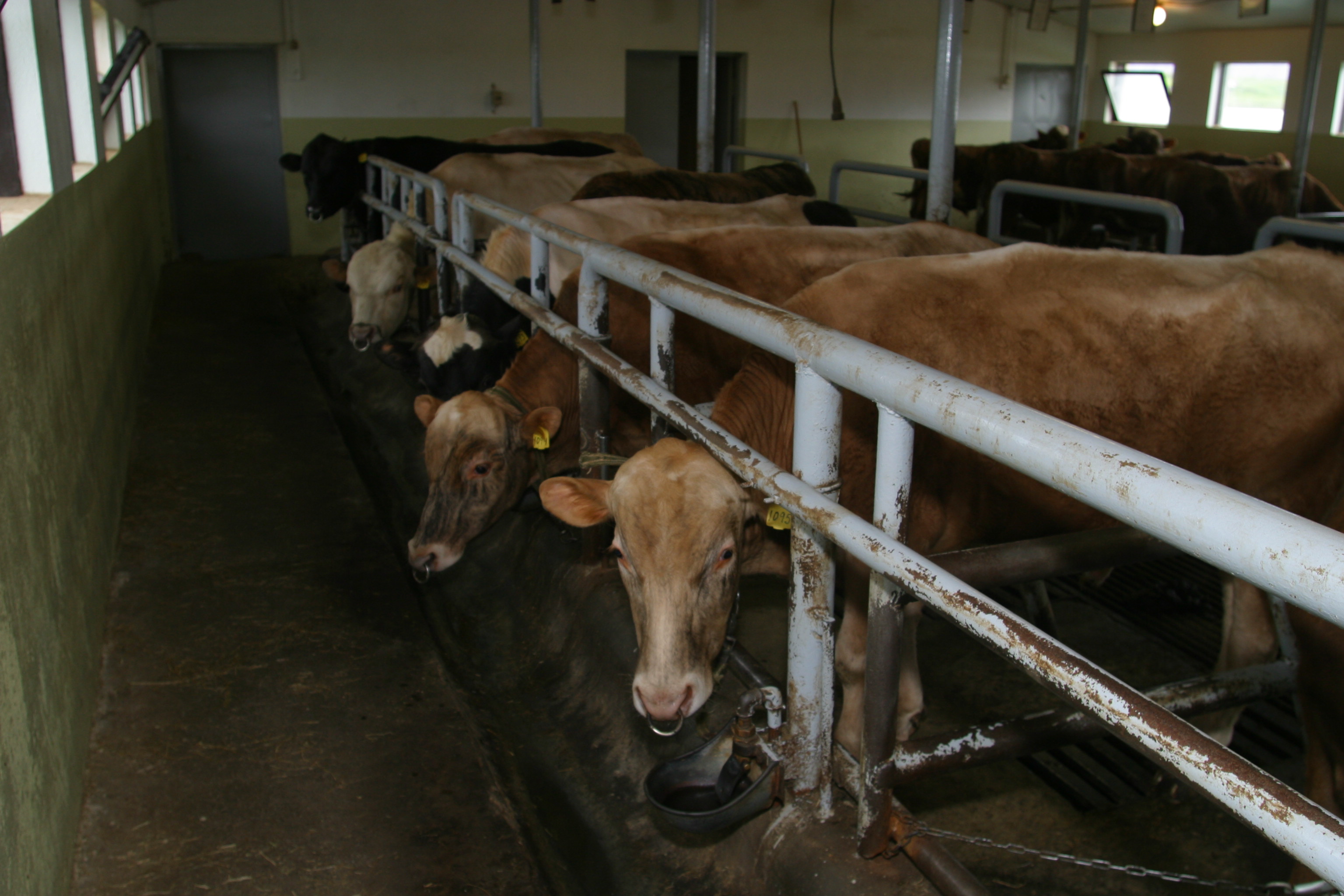 Skýrsla starfshóps um endurskoðun eignarhalds á bújörðum