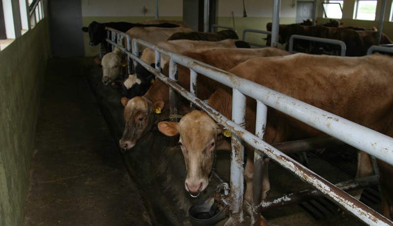 Skýrsla starfshóps um endurskoðun eignarhalds á bújörðum