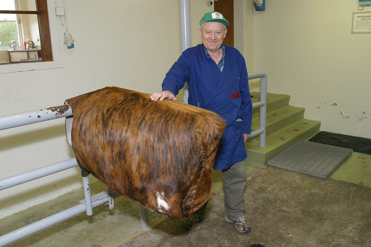 Kyngreining sæðis í frjóan jarðveg