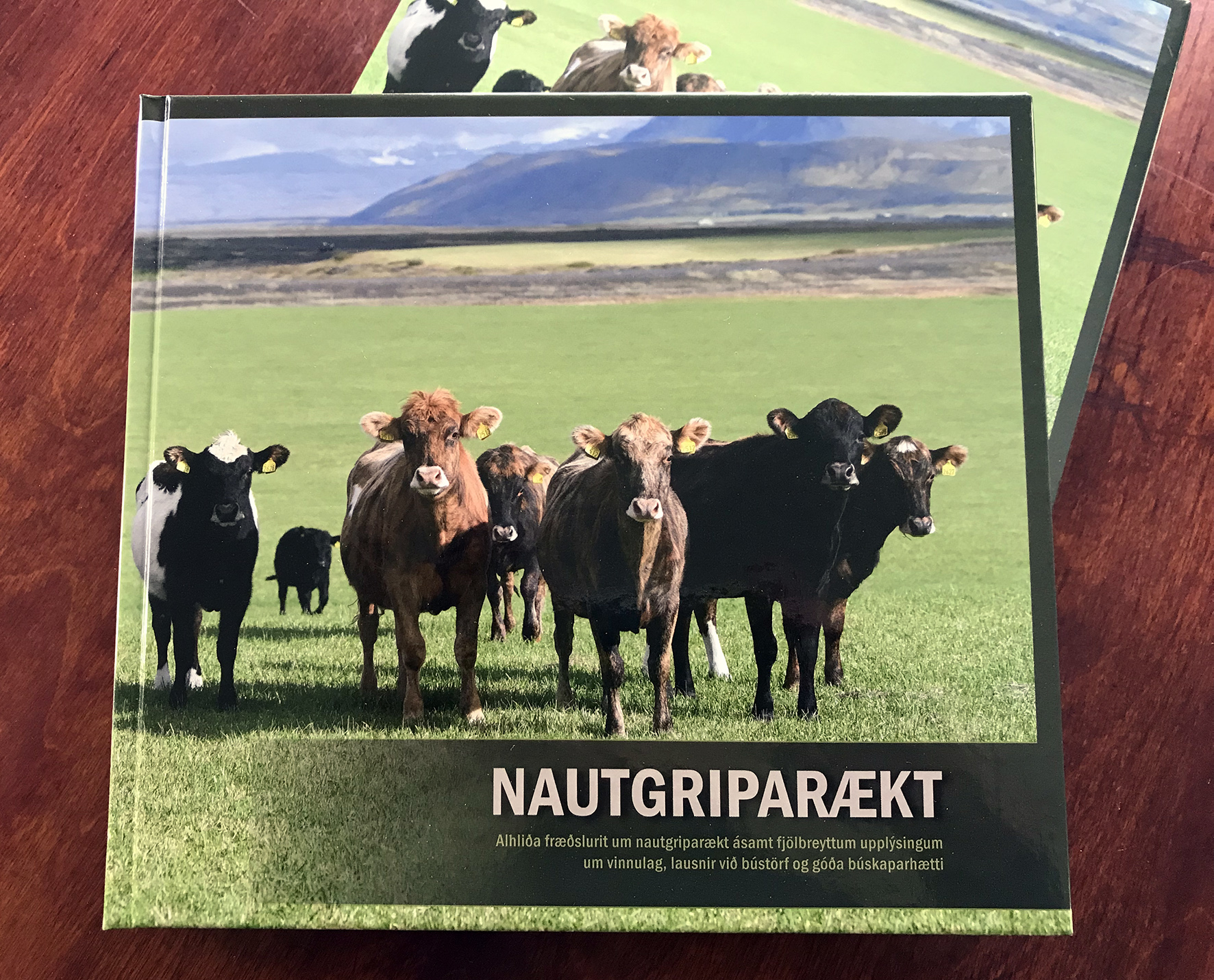 Mikil ásókn í bókina Nautgriparækt