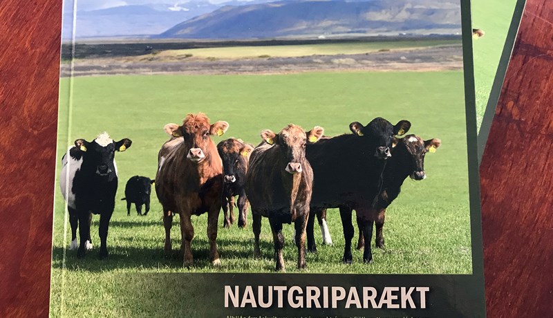 Mikil ásókn í bókina Nautgriparækt
