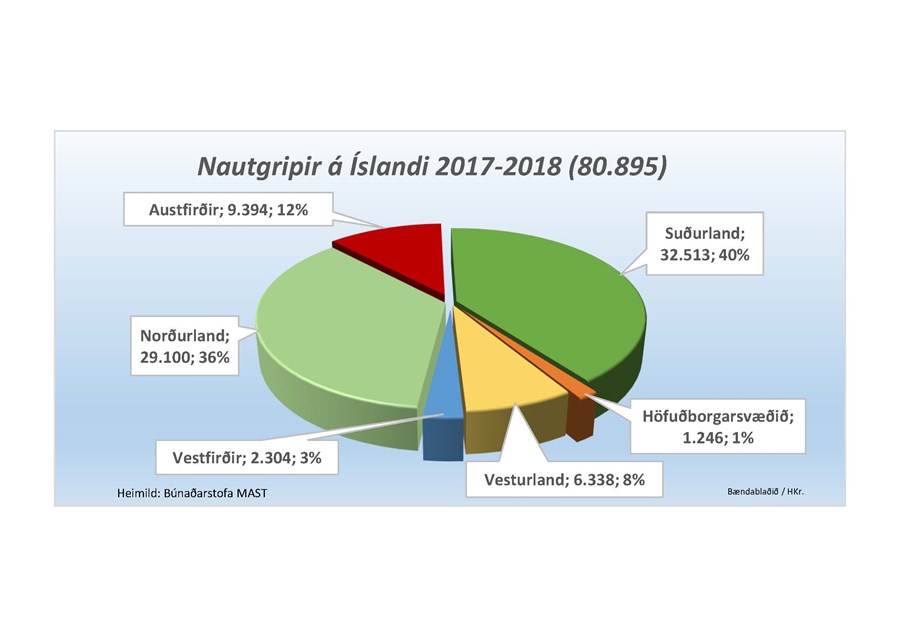 Nautgripum fjölgar frá metárinu 2016 en sauðfé fækkar um 16 þúsund