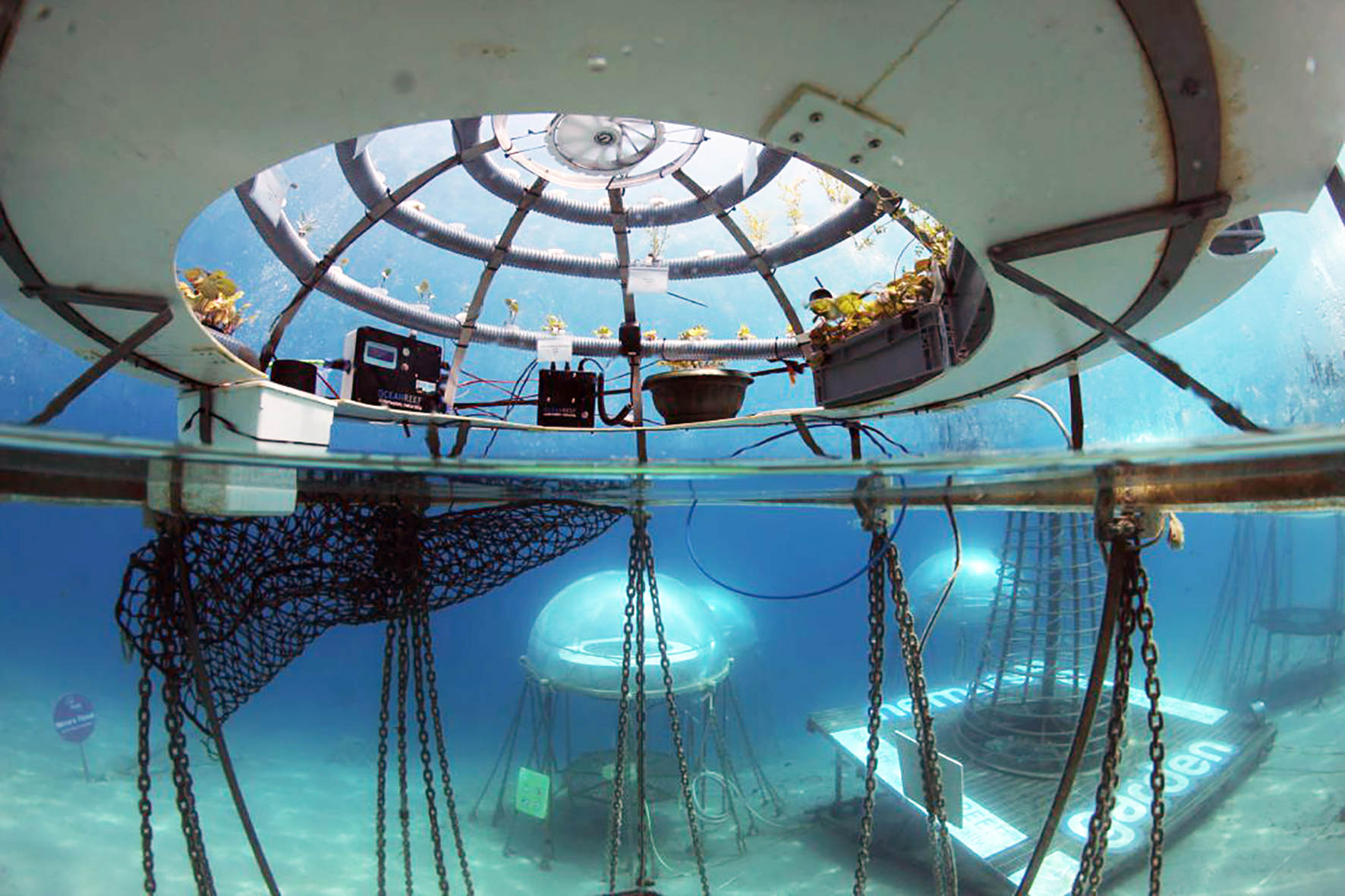 Landbúnaður stundaður neðansjávar