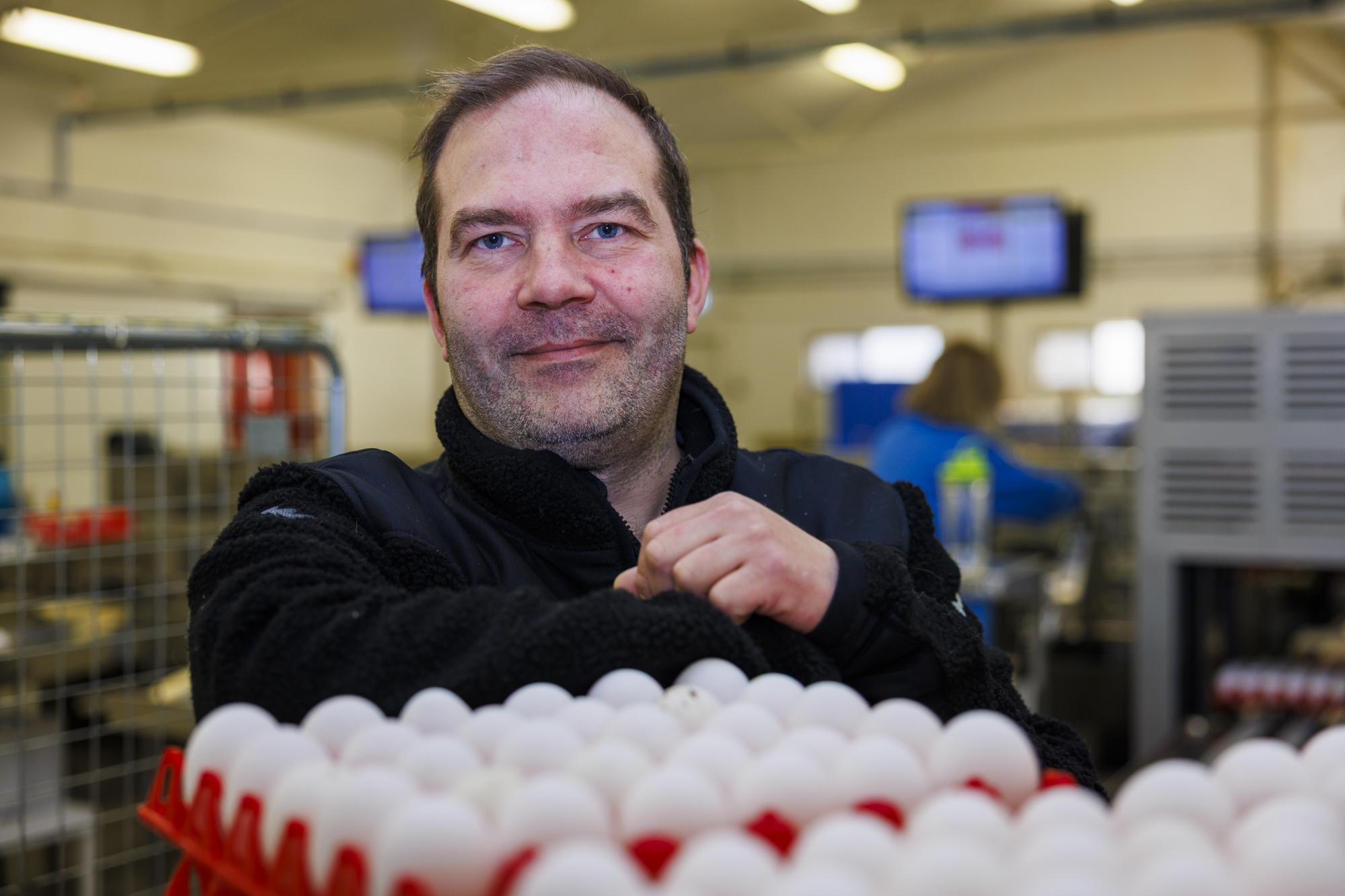 Innlit á hænsnabú