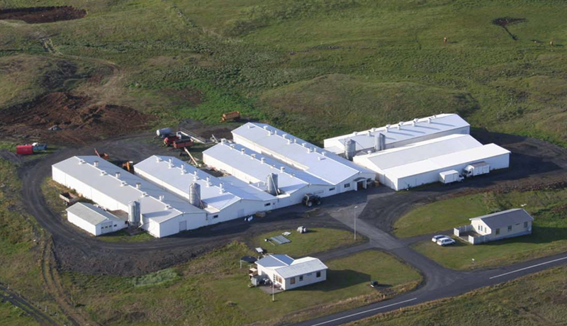 Lán að ekki fór verr