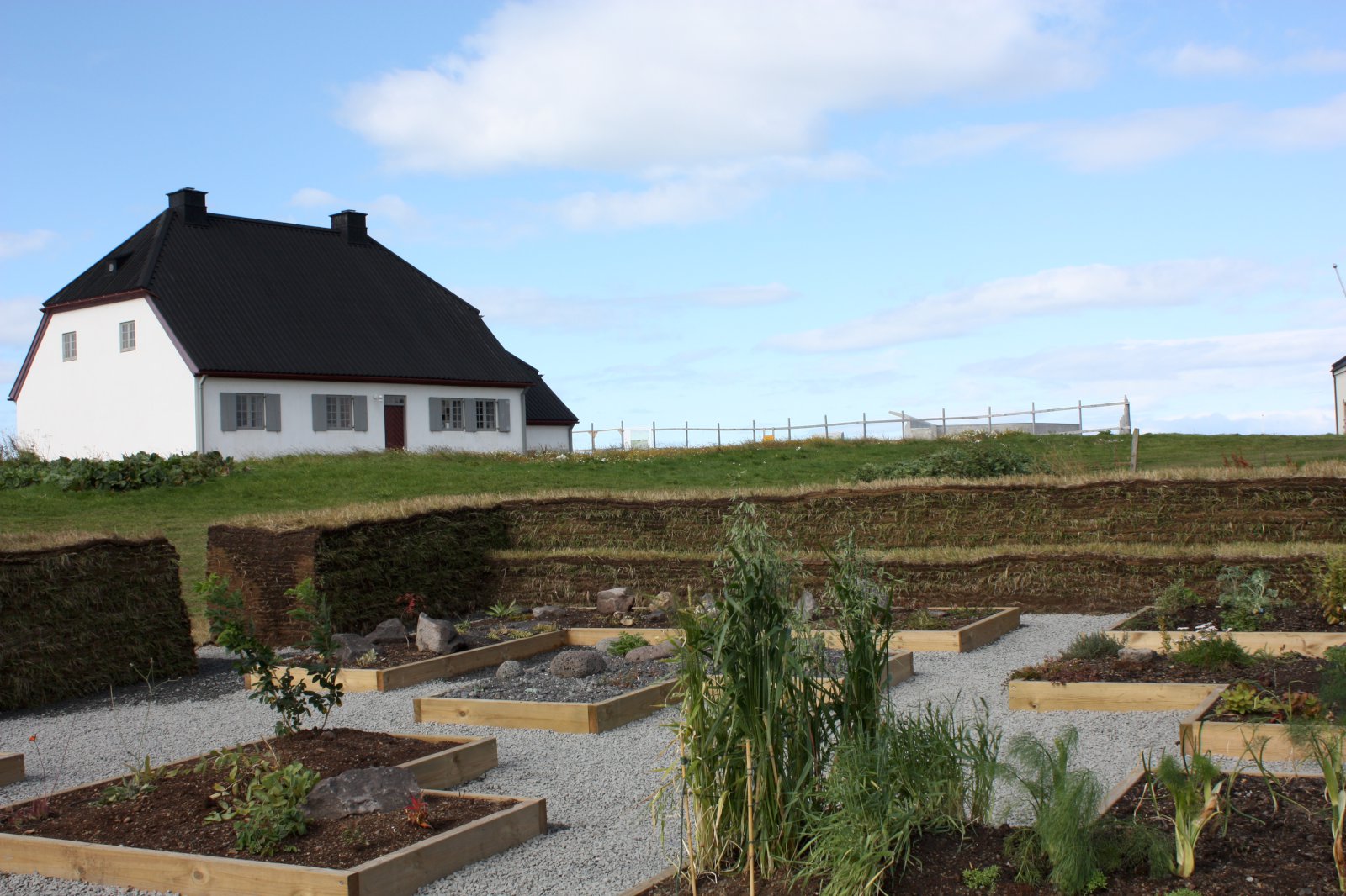 Eplatré, lækningajurtir og kál