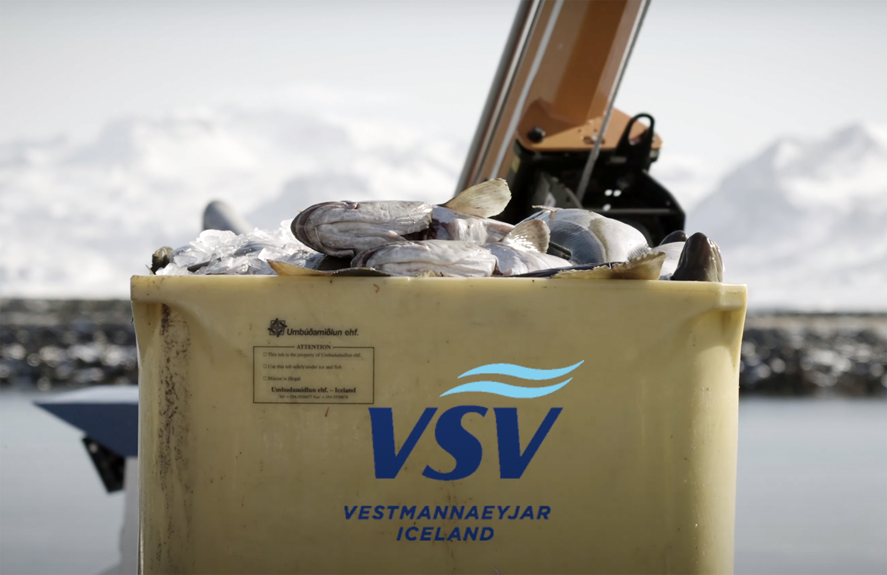 Hinn glæsilegi árangur