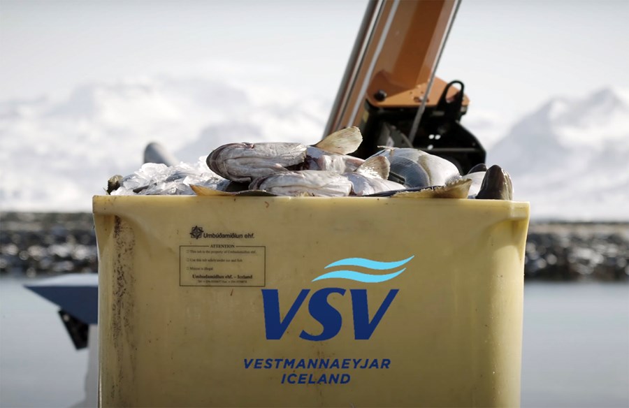 Hinn glæsilegi árangur