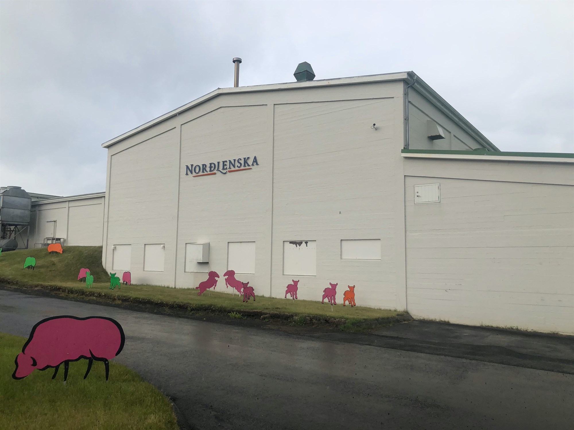 Norðlenska hækkar afurðaverð fyrir dilkakjöt um 6,4 prósent 