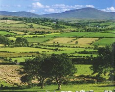 Sérlausnin sem Írland féll á