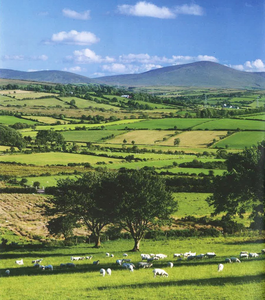 Sérlausnin sem Írland féll á