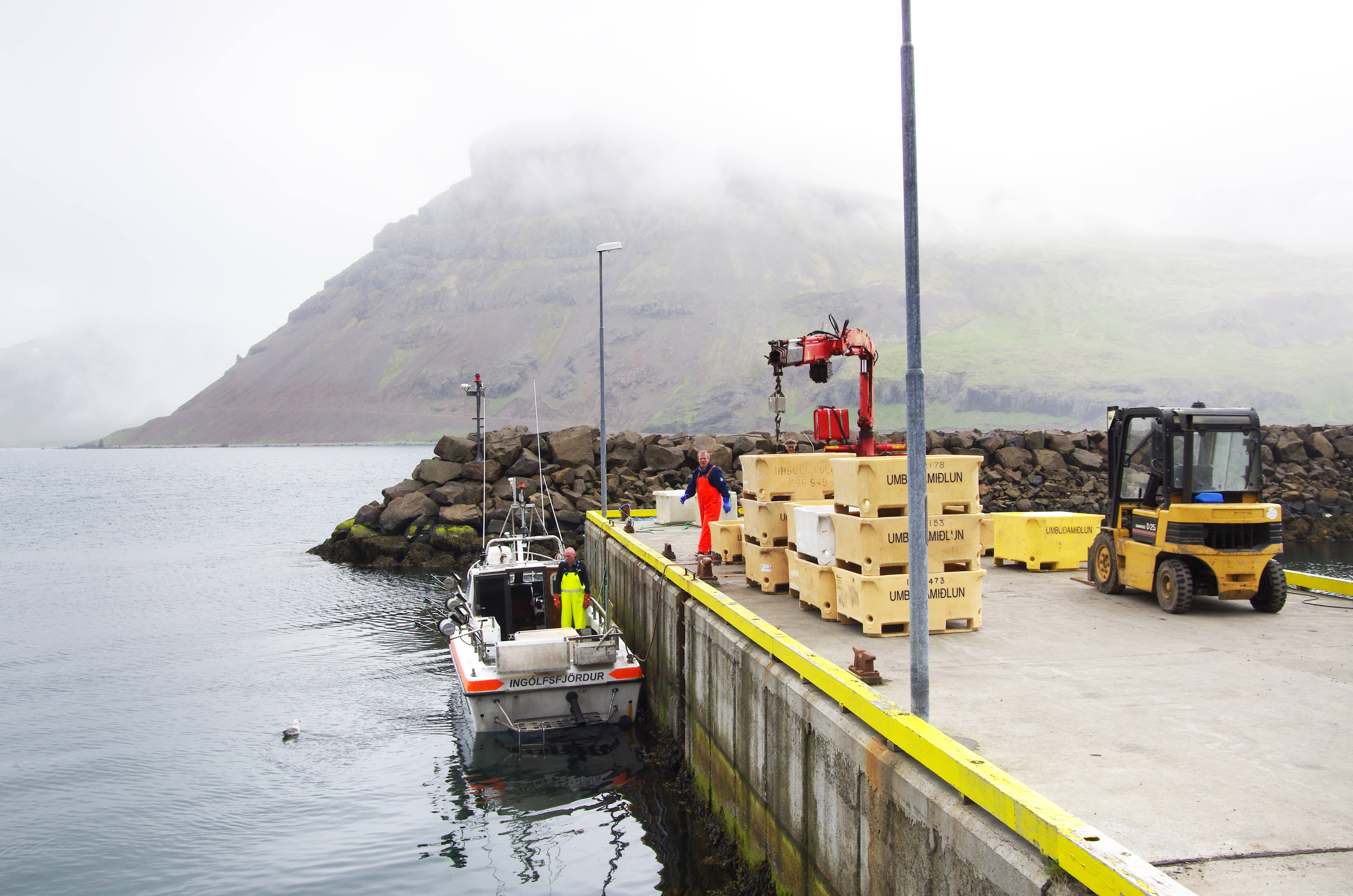 Óunninn afli úr landi