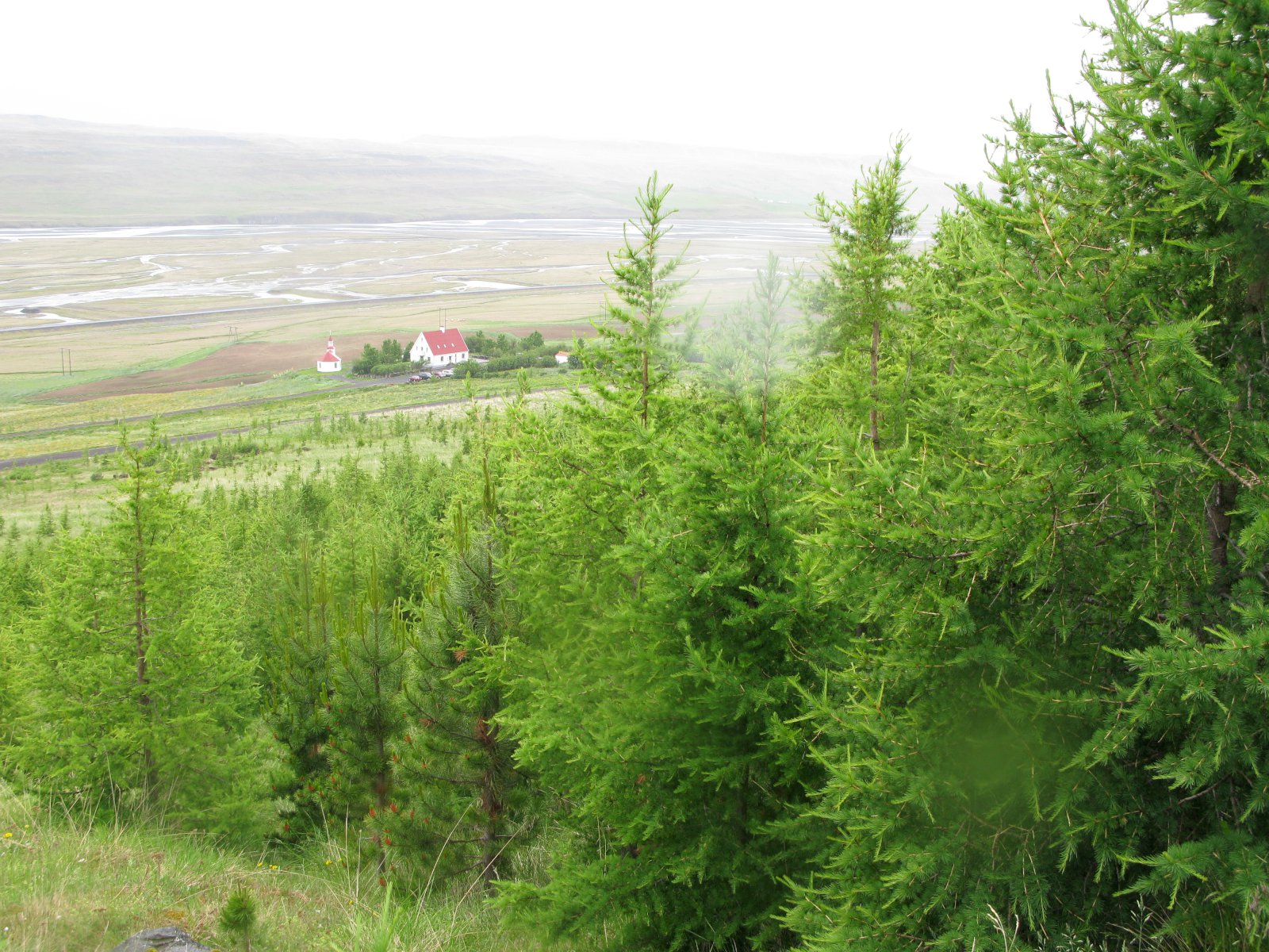 Kolefnisjöfnun búskapar