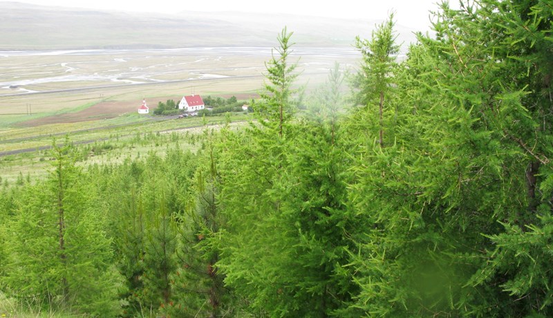 Kolefnisjöfnun búskapar