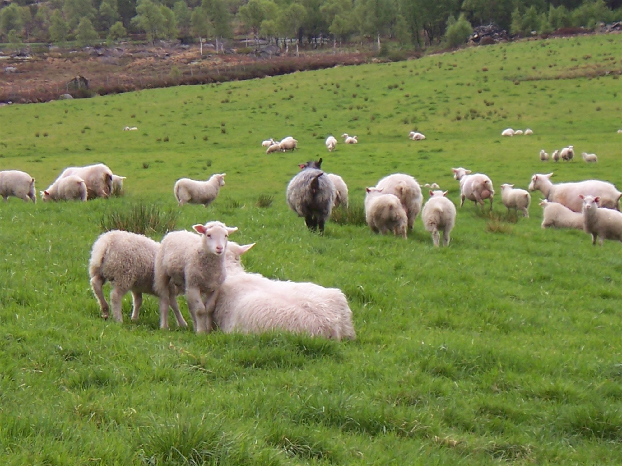 Ósýnilegi burðarásinn í öryggismálum þjóðarinnar