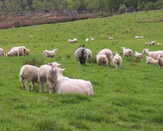 Ósýnilegi burðarásinn í öryggismálum þjóðarinnar