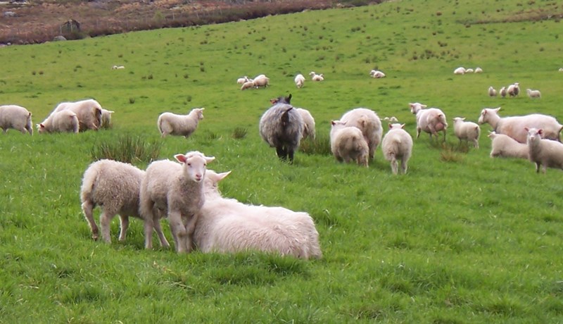 Ósýnilegi burðarásinn í öryggismálum þjóðarinnar