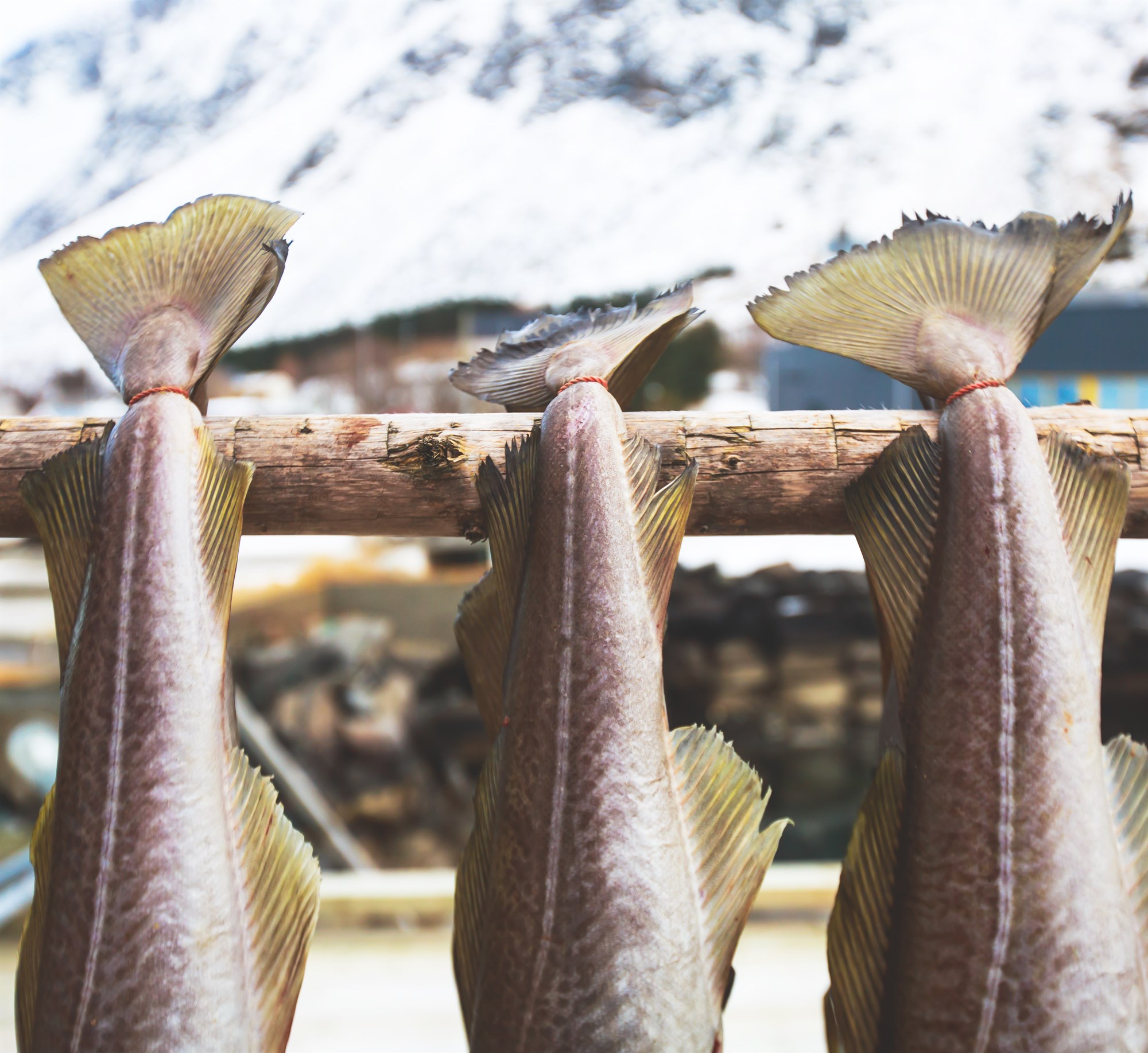 Notkun verndaðra afurðaheita á Íslandi