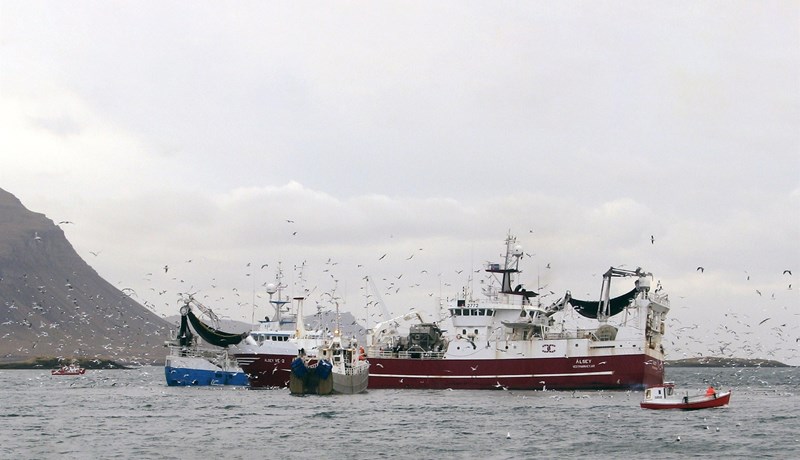 Hvar eru 500 þúsund tonnin?