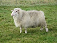 Kynningarfundir um fjarvis.is um allt land