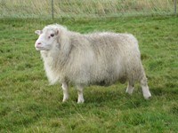 Kynningarfundir um fjarvis.is um allt land