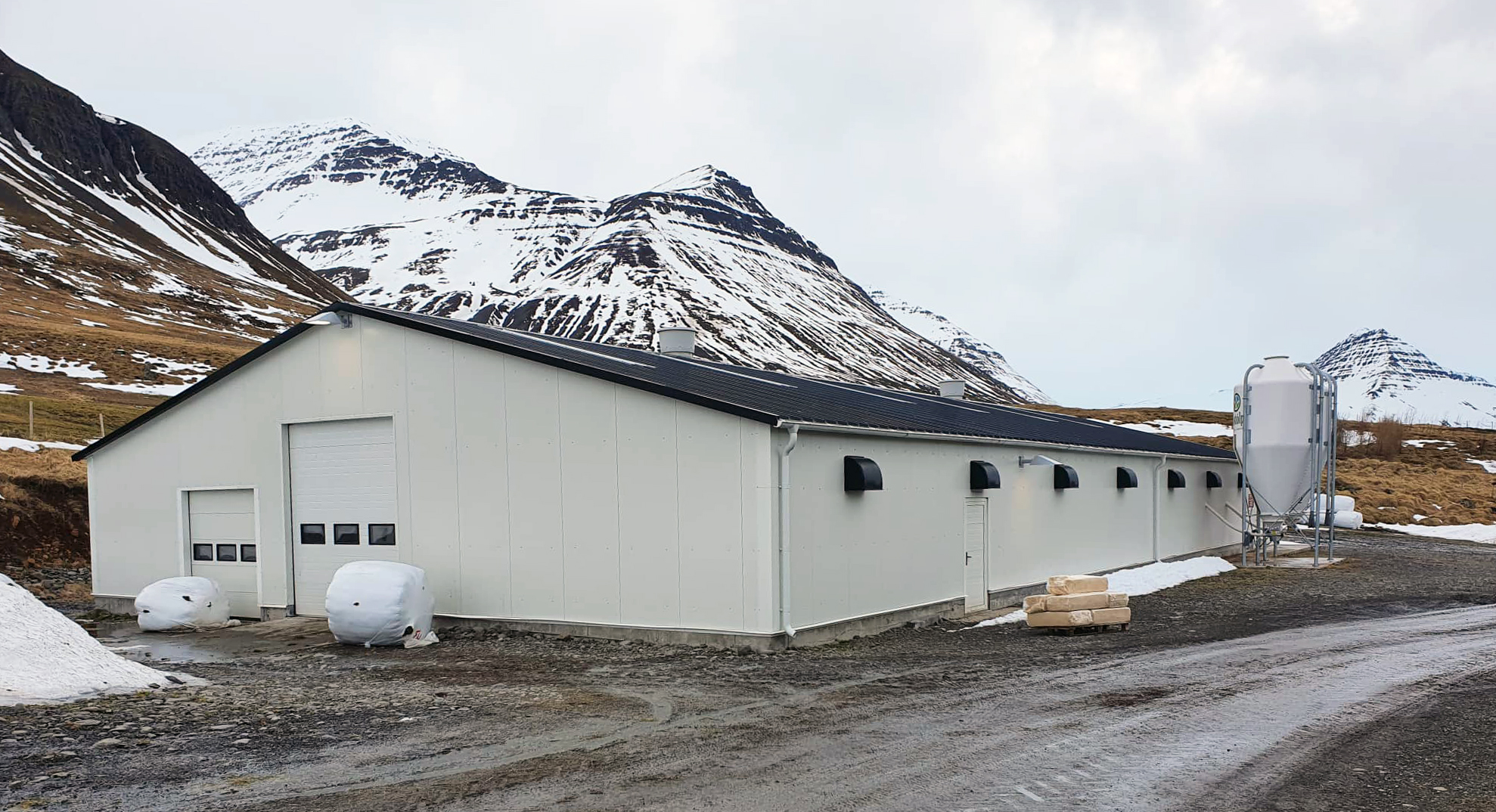 Með afurðahæstu kýr landsins 2020 