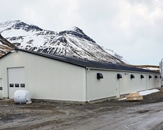 Með afurðahæstu kýr landsins 2020 