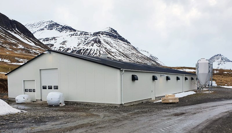 Með afurðahæstu kýr landsins 2020