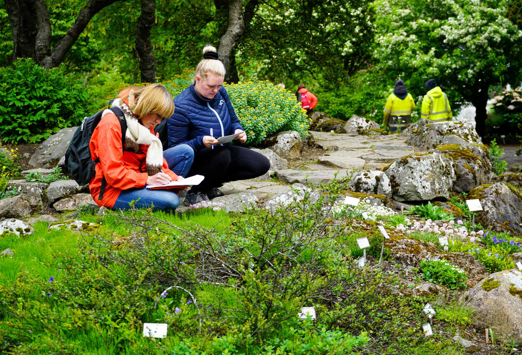 Sérálit Lbhí vegna starfmenntanáms í garðyrkju