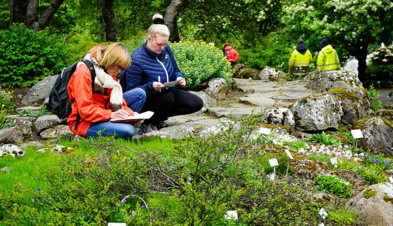 Sérálit Lbhí vegna starfmenntanáms í garðyrkju