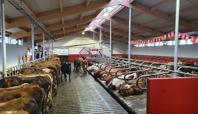 Nýtt og glæsilegt fjós á Stærri-Bæ í Grímsnesi