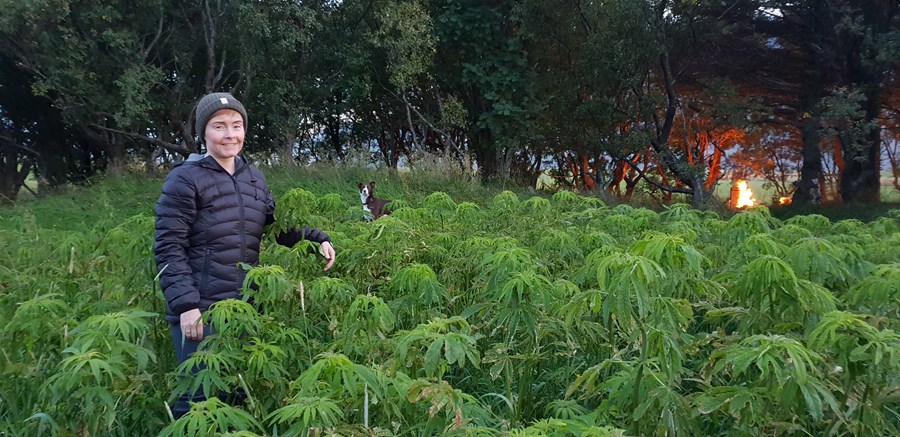 Oddný Anna Björnsdóttir, bóndi í Gautavík,