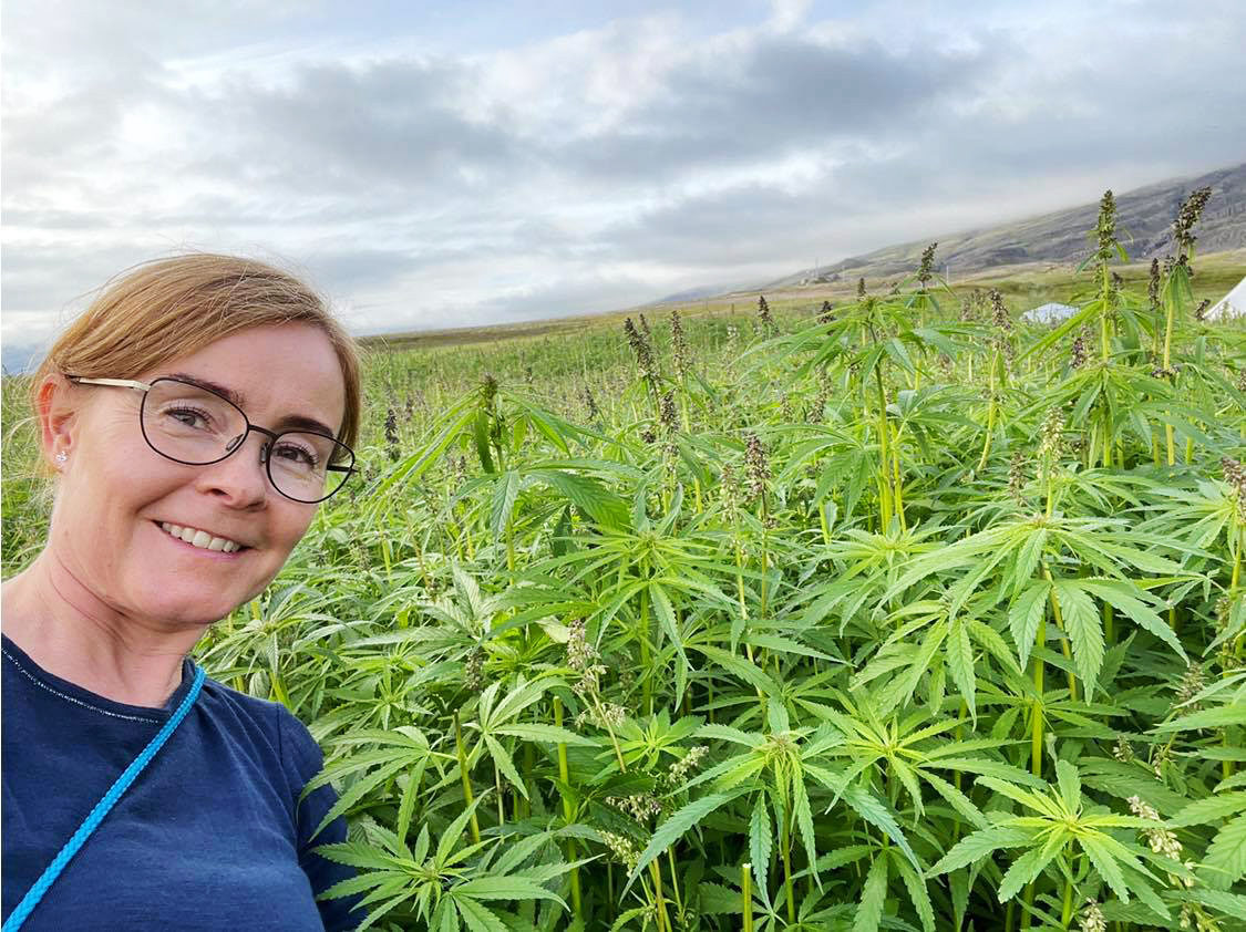 Inniheldur CBD sem virkjast í tevatninu