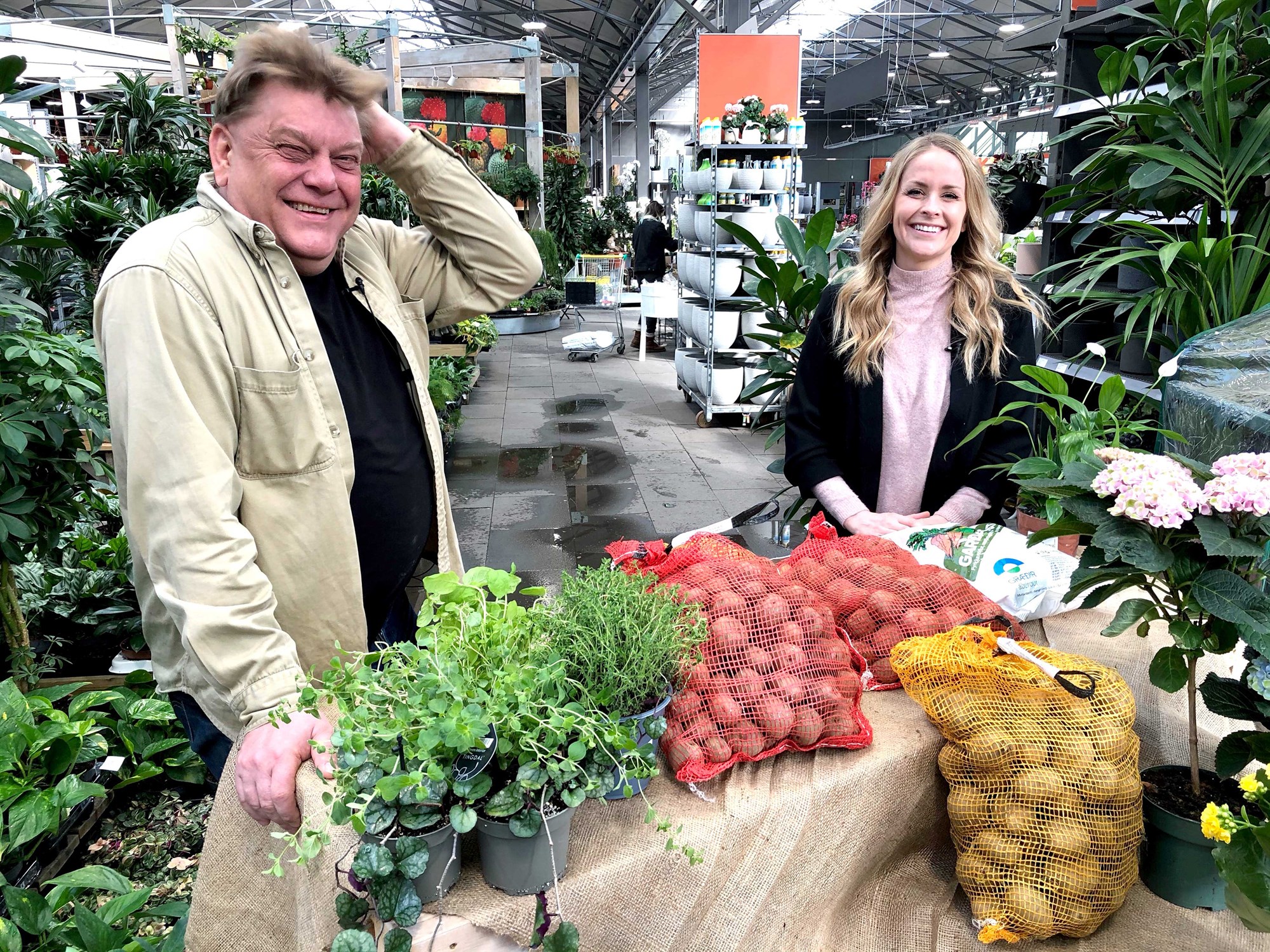 Heilandi fyrir sál og líkama