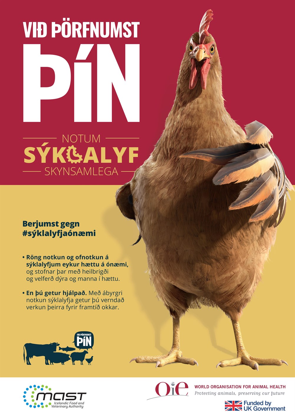 Alþjóðleg vitundarvika um skynsamlega notkun sýklayfja