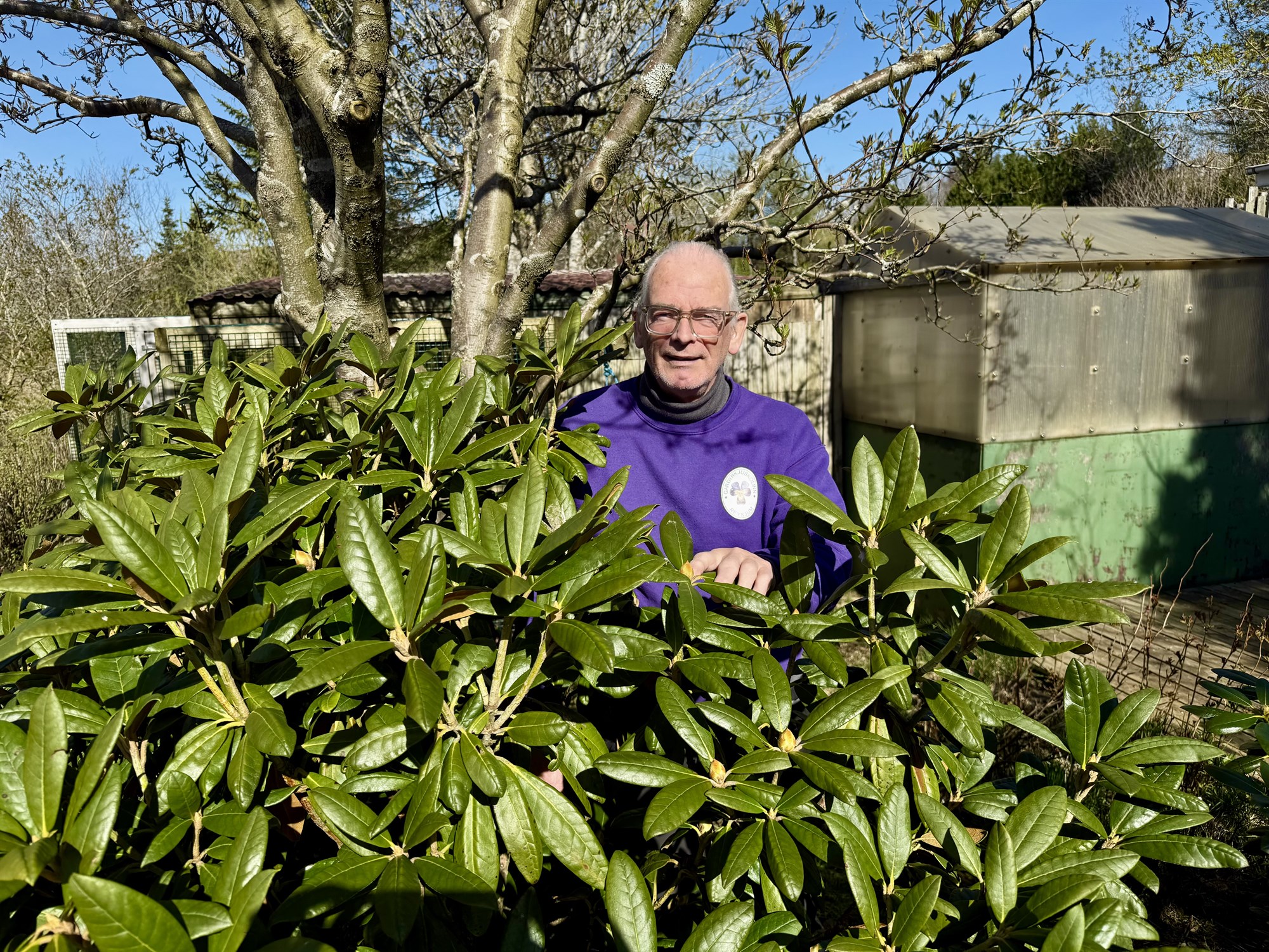 Lífsnautn eldhugans