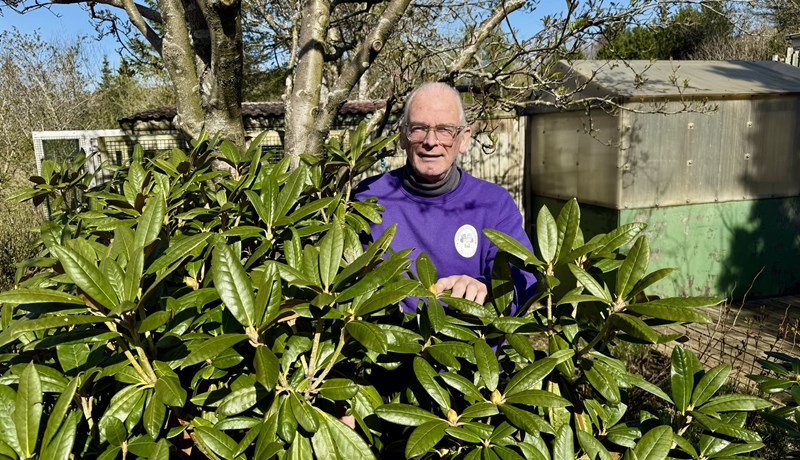 Lífsnautn eldhugans