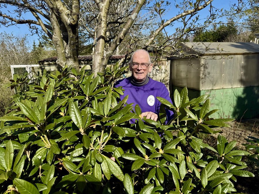 Ólafur Sturla Njálsson garðyrkjusérfræðingur fyrir utan heimili sitt á Nátthaga í Ölfusi. Hann stendur hér við lyngrós sem hann er sérfróður um.