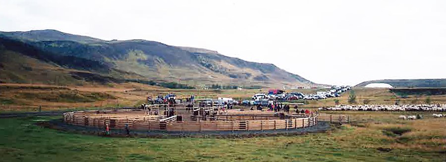 Nýja Ölfusréttin var vígð 18. september 2016. Hún er hringrétt  með 18 misstórum dilkum. Hún er hönnuð af dr. Ólafi R. Dýrmundssyni, búvísindamanni og borgarbónda.