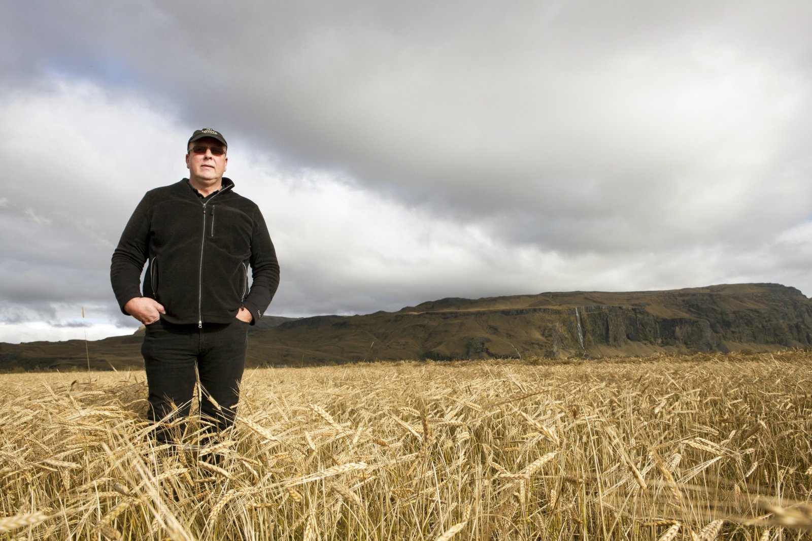 Samdráttur í kornræktinni